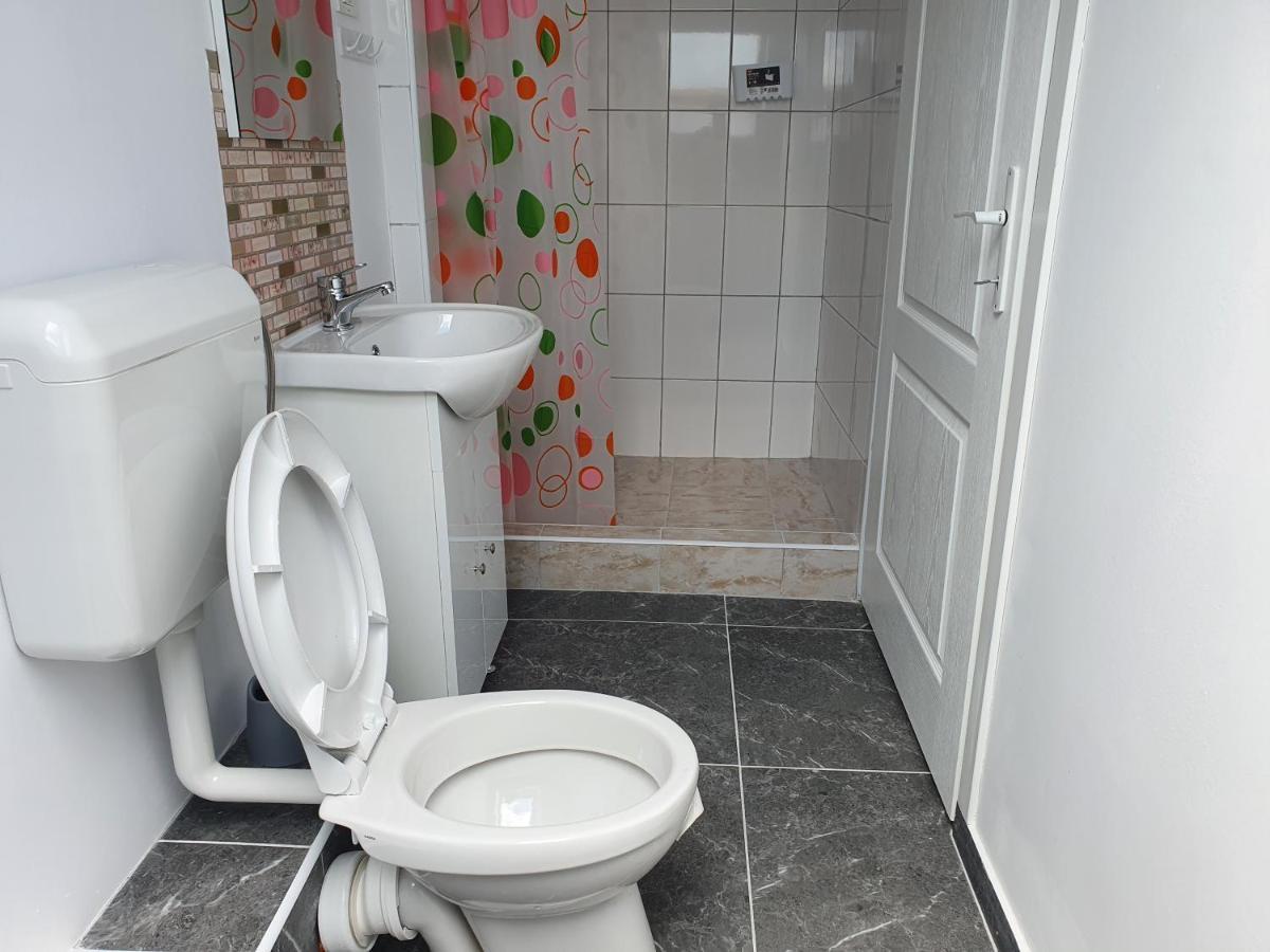 Apartament Casa Erika Sebeş Zewnętrze zdjęcie